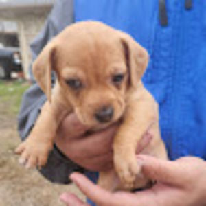 Meet your Posher, Christinamaria